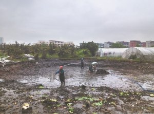 泰安河道鱼塘清淤